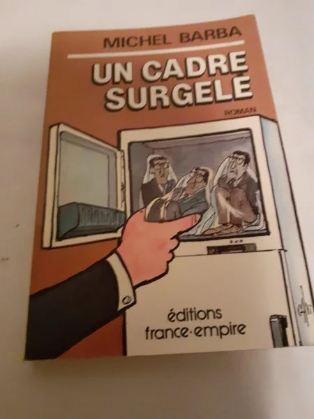 Livre "un cadre surgelé" - Livres - Saint-Satur (18300)
