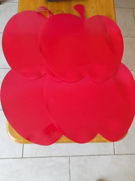 4 set de table forme pomme - Collection - Saint-Satur (18300)