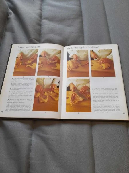 La cuisine des gourmands en image -les volailles , - Livres - Saint-Satur (18300)