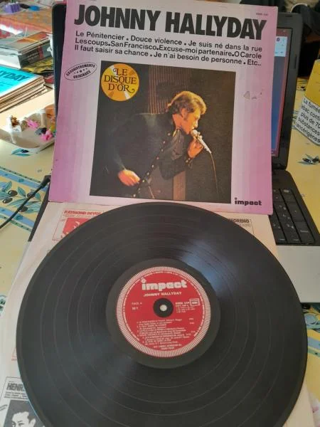 33 t " johnny hallyday " - CD, DVD & Vinyles - Saint-Satur (18300)