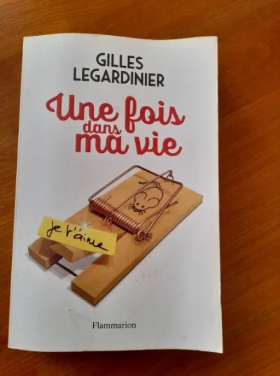 Une fois dans ma vie - gilles legardinier - Livres - Saint-Satur (18300)