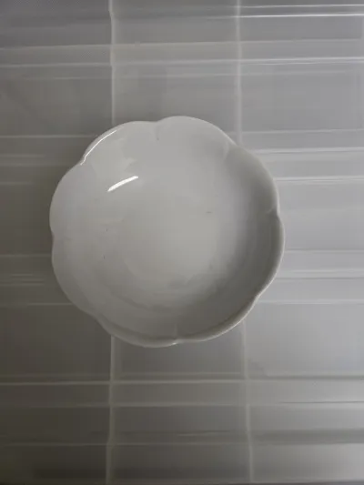 Service de table Royal Limoges — Modèle Nymphéa - photo 4