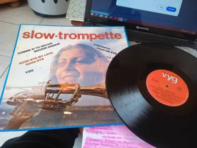 33t " slow-trompette " - CD, DVD & Vinyles - Saint-Satur (18300)