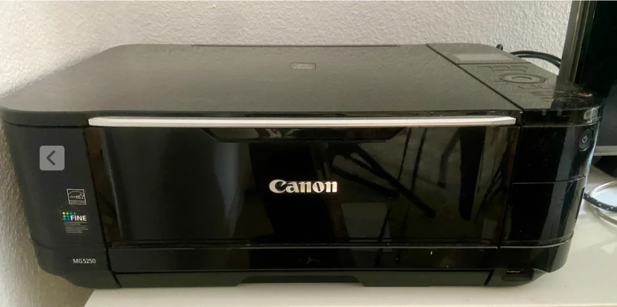 Imprimante CANON MG5250 - Informatique - Bordeaux (33800)
