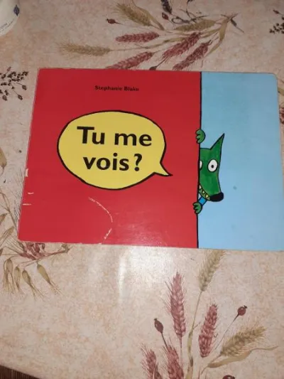 Tu me vois ? - Livres - Saint-Satur (18300)