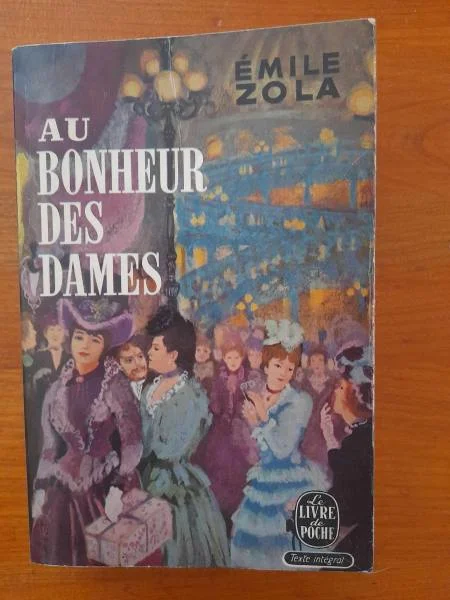 Livre au bonheur des dames - emile zola - Livres - Saint-Satur (18300)