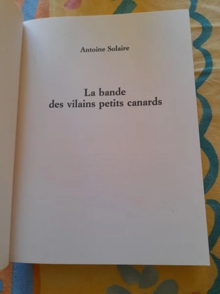 La bande des vilains petits canards - antoine sola - Livres - Saint-Satur (18300)