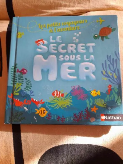 Les petits voyageurs à l'aventure - Livres - Saint-Satur (18300)