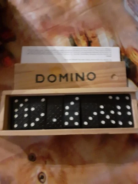 Jeu de domino - Jeux & Jouets - Saint-Satur (18300)