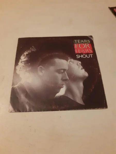 45 t "tears for fears " - CD, DVD & Vinyles - Saint-Satur (18300)