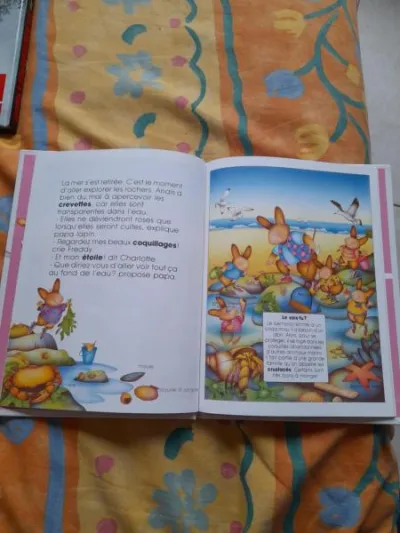 Les lapinous découvrent la mer - photo 2