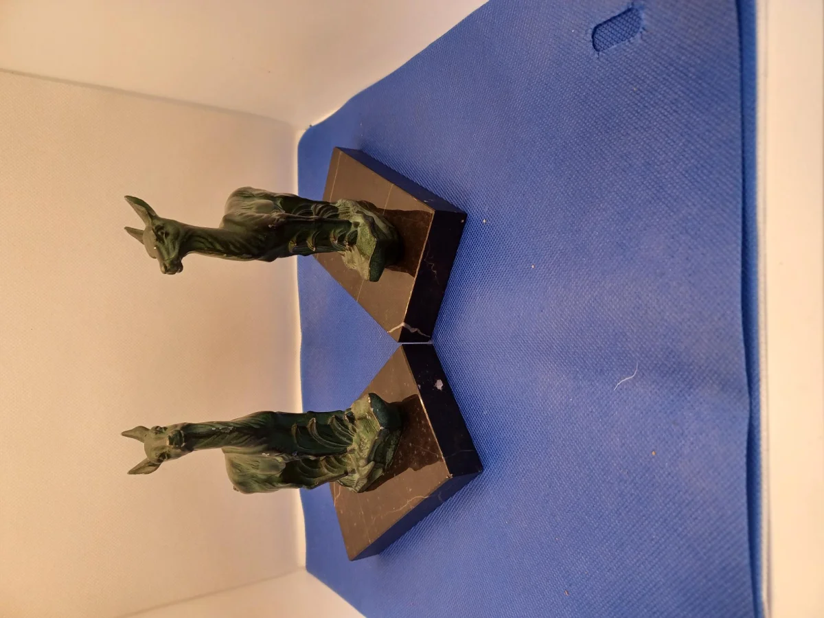 2 serres livres paon - Décoration - Strasbourg (67100)