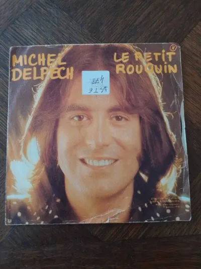 45 t "michel delpech" - CD, DVD & Vinyles - Saint-Satur (18300)