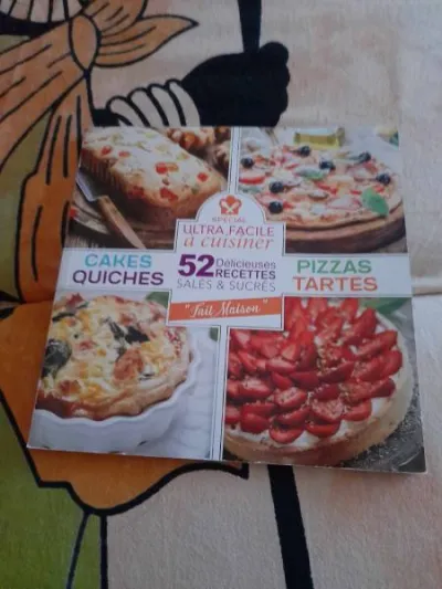 Spéciale ultra facile à cuisiner - Livres - Saint-Satur (18300)