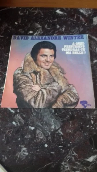 45 t david alexandre winter - CD, DVD & Vinyles - Saint-Satur (18300)