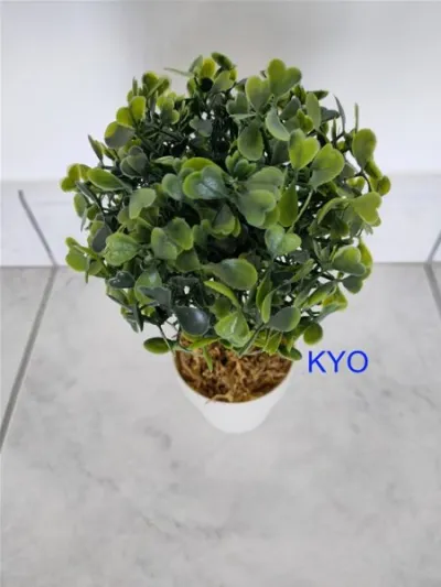 Petit arbre buis rond, hauteur 22cm diamètre 11cm - photo 3