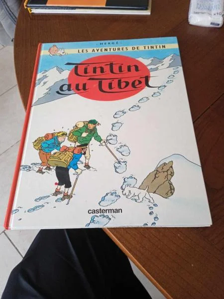 Bd " tintin au tibet " - Livres - Saint-Satur (18300)
