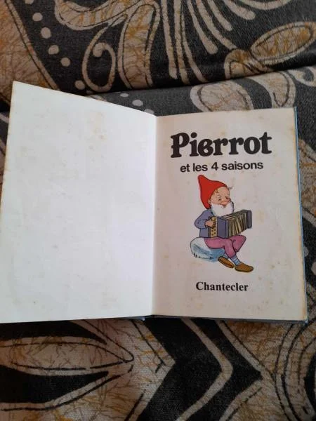 Les aventures de pierrot le lutin - Livres - Saint-Satur (18300)