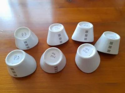 Lot 5 ramequins - bols à sauce céramique blanc - Collection - Saint-Satur (18300)