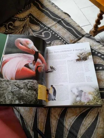 Les prodigieux secrets de la nature - photo 4