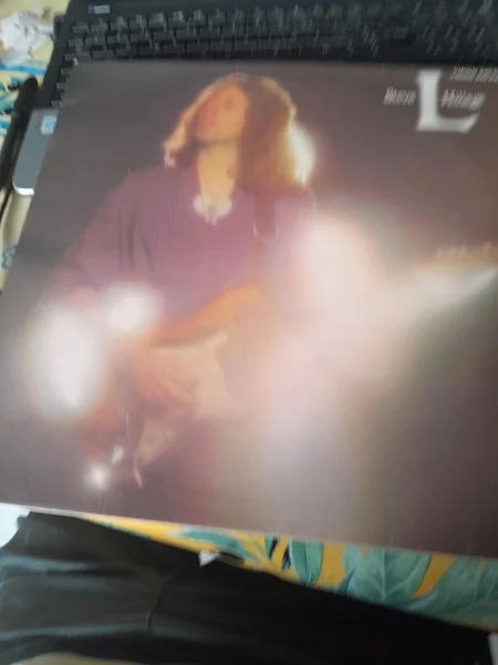 33 t " steve hillage " - CD, DVD & Vinyles - Saint-Satur (18300)