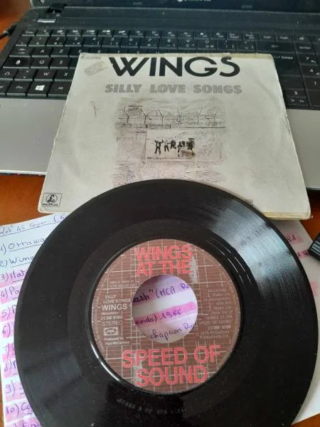45 t " wings " - CD, DVD & Vinyles - Saint-Satur (18300)