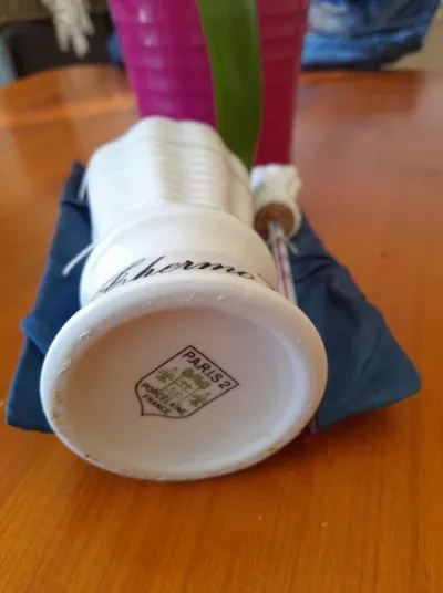 Thermomètre à vin paris 2 porcelaine france - Collection - Saint-Satur (18300)