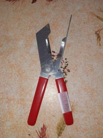 Ouvre bocal - Collection - Saint-Satur (18300)