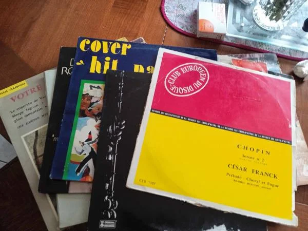 33t " lots 12 disques hs " - CD, DVD & Vinyles - Saint-Satur (18300)