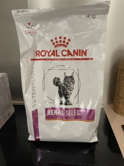 Croquettes royal canin chat renal - Chiens - Bourron-Marlotte (77780)