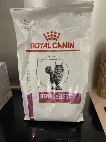 Croquettes royal canin chat renal - Chiens - Bourron-Marlotte (77780)