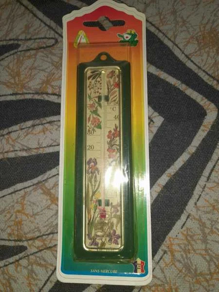 Thermomètre de maison en plastique - Décoration - Saint-Satur (18300)