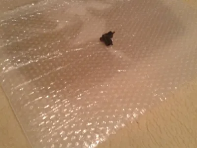 Contacteur embrayage yamaha 400 fzr 1993 - photo 3