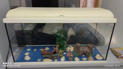 AQUARIUM + DECORATION +ACCESSOIRES-DISPONIBLE - Meubles