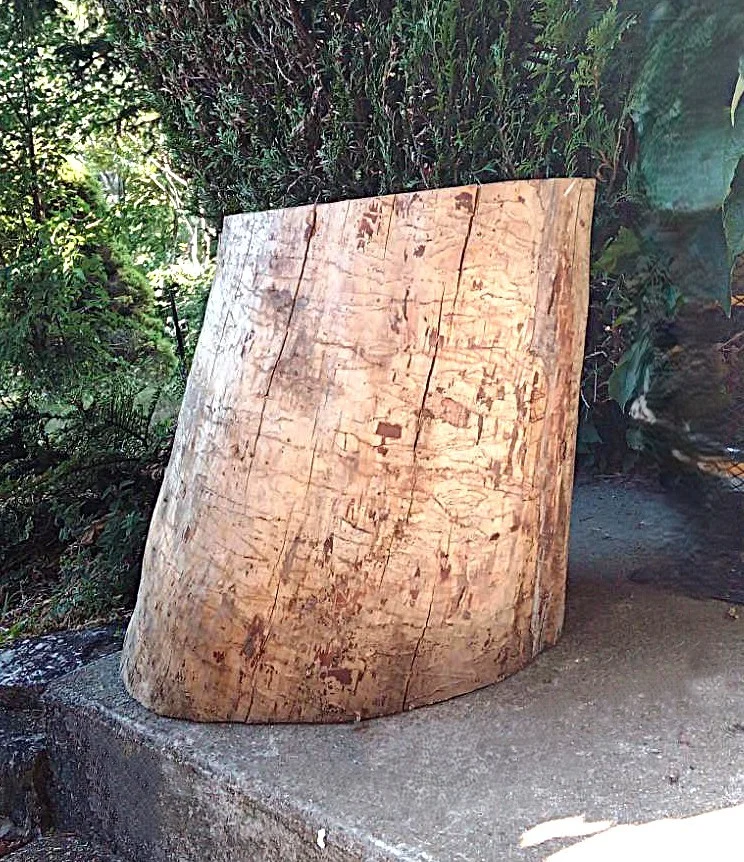 Gros rondin pour support d'enclume - Bricolage - Monnetier-Mornex (74560)