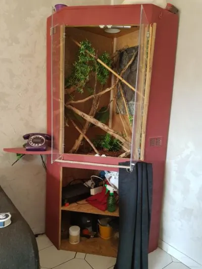 Terrarium d'angle - photo 2