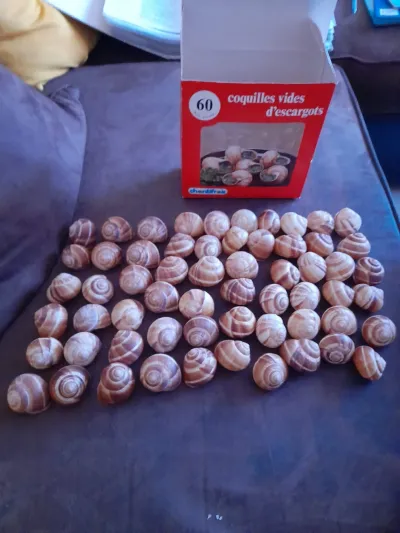 Chantifrais - Boite de 44 coquilles d' Escargots - photo 2