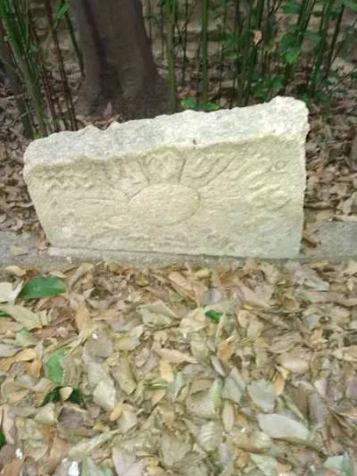 Mobilier &amp; décoration de jardin - photo 2