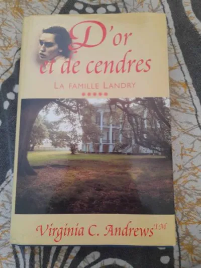 D'or et de cendres- la famille landry - tome 5 - photo 2