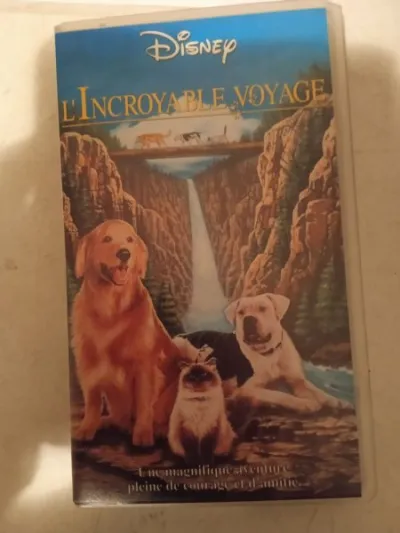 Vhs "l'incroyable voyage" - CD, DVD & Vinyles - Saint-Satur (18300)