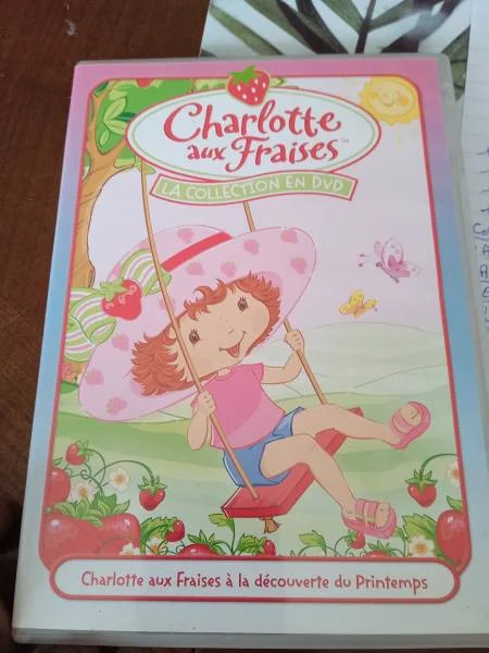 Dvd " charlotte aux fraises " - CD, DVD & Vinyles - Saint-Satur (18300)