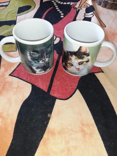 Lot 2 mugs café privilège - Collection - Saint-Satur (18300)