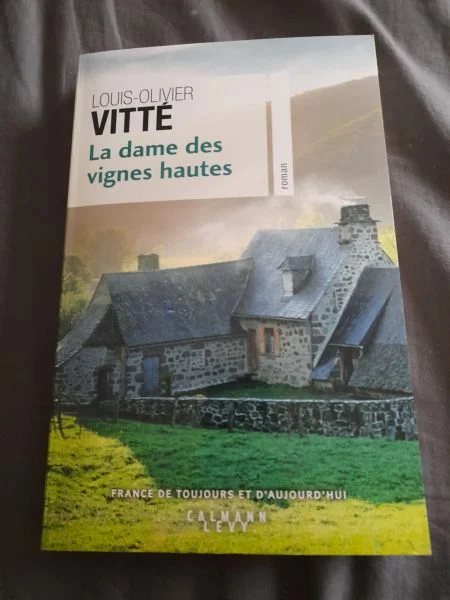 La dame des vignes hautes - louis olivier vitté - Livres - Saint-Satur (18300)