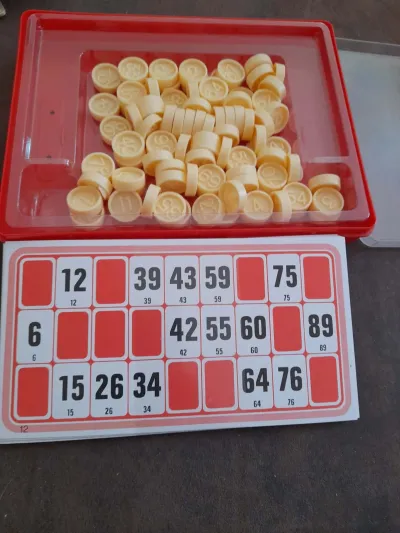Playbox - Jeu de Loto de Voyage  en Plastique - Jeux & Jouets