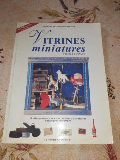 Livre vitrines miniatures - Livres - Saint-Satur (18300)