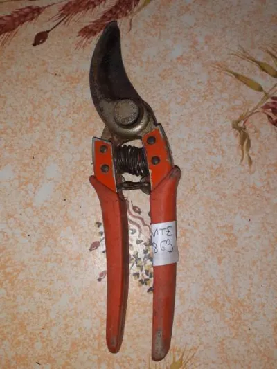 Sécateur pradine - Collection - Saint-Satur (18300)