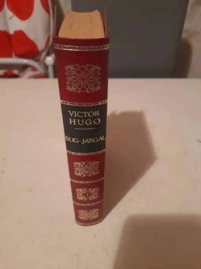 Livre victor hugo " bug jargal " - Livres - Saint-Satur (18300)