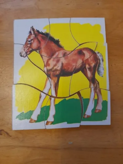 Puzzles en bois pour tout petit - Jeux & Jouets - Saint-Satur (18300)