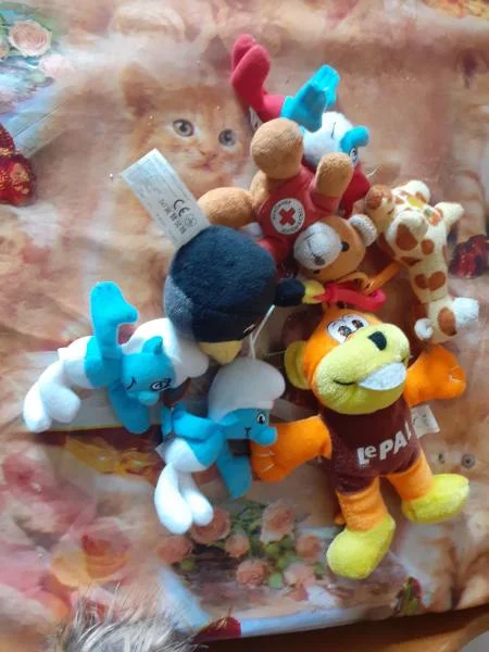 Lot 7 portes clés peluches et peluches à accrocher - Jeux & Jouets - Saint-Satur (18300)