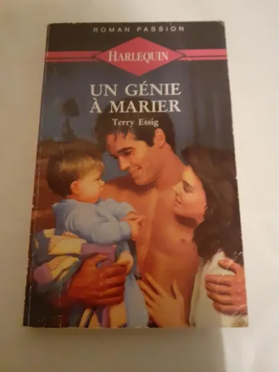 Livre terry essig" un génie à marier " - Livres - Saint-Satur (18300)